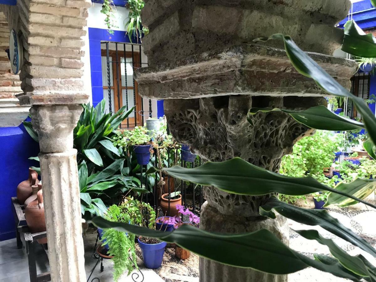 Alojamiento Casa Tipica De กอร์โดบา ภายนอก รูปภาพ
